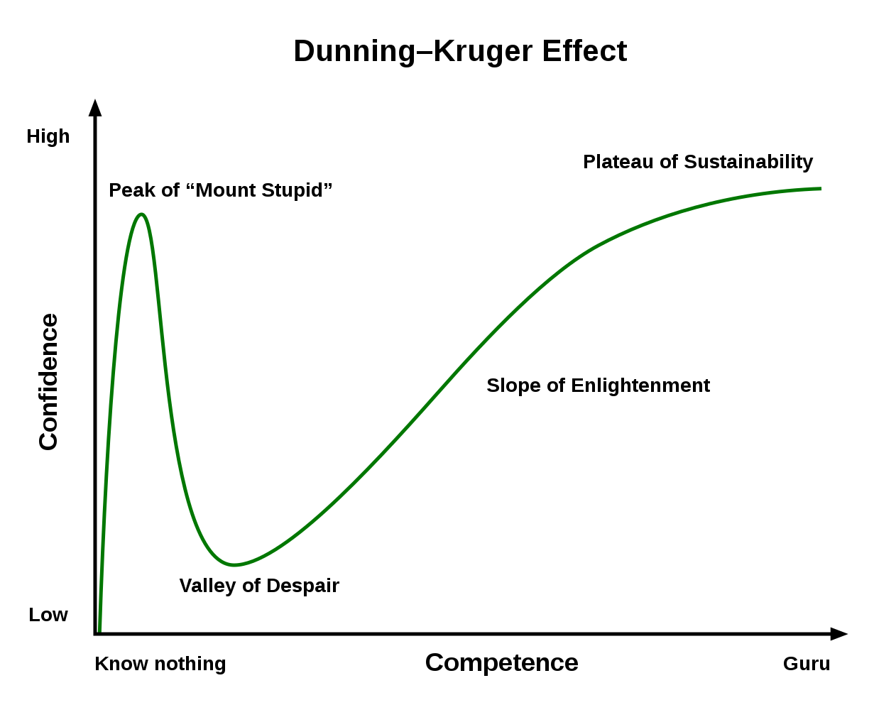 The Dunning Kruger curve